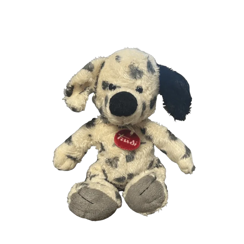 Black and White Dog Teddy