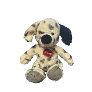 Black and White Dog Teddy