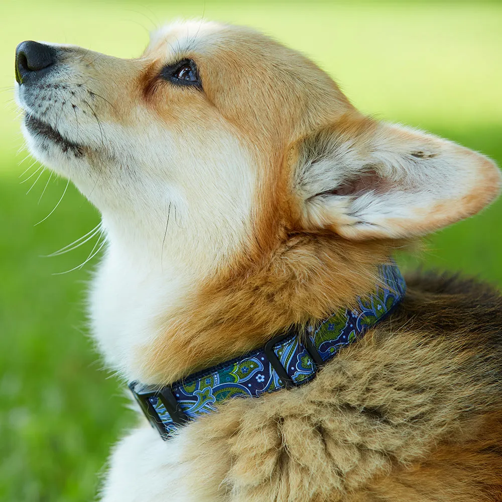 Blockhill - Dog Collar