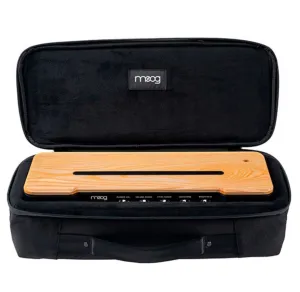 Case Moog para Etherwave theremin.