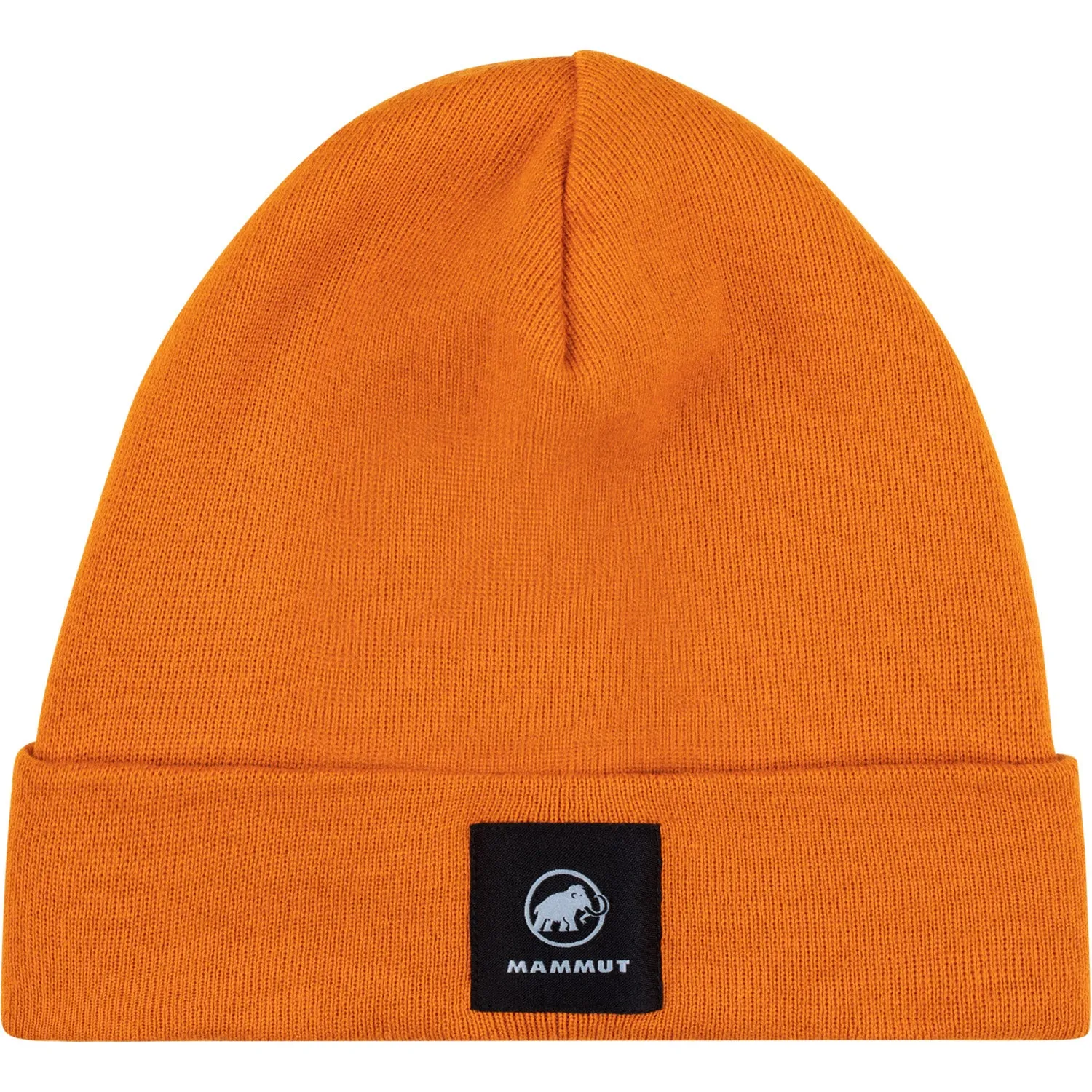 Fedoz Beanie 2022