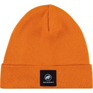 Fedoz Beanie 2022