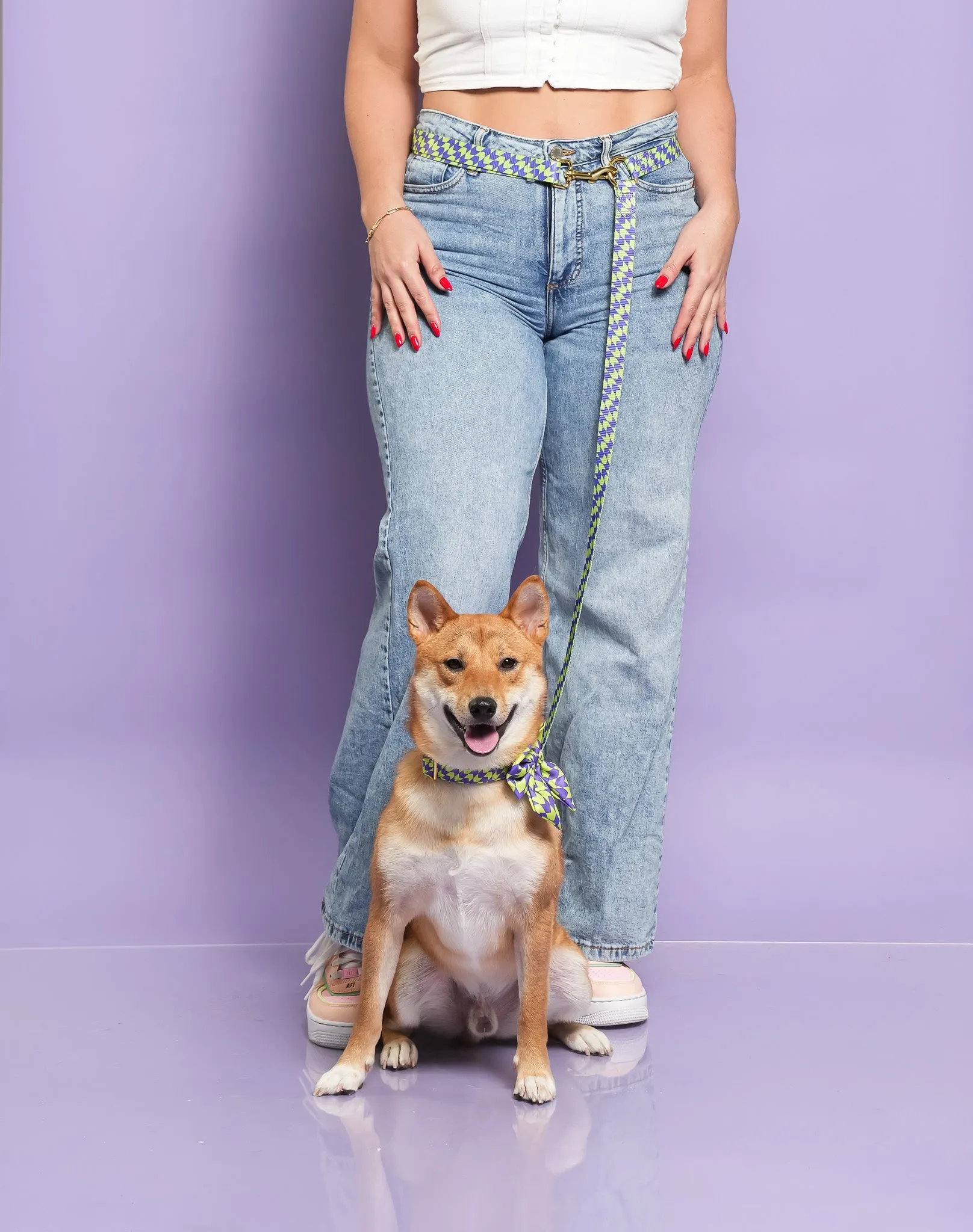 Fetch Master - Handsfree Dog Leash