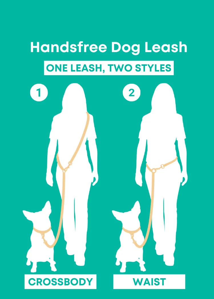 Fetch Master - Handsfree Dog Leash