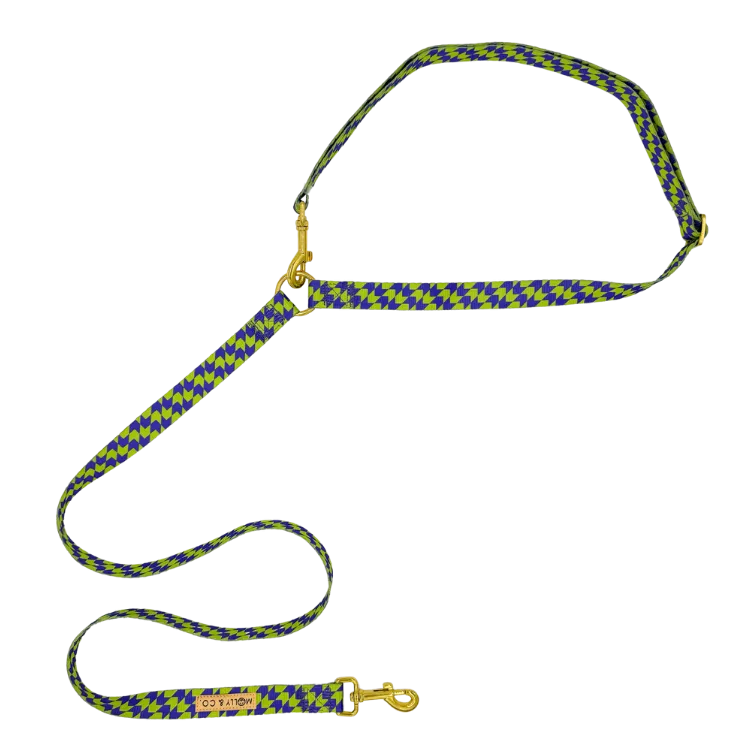 Fetch Master - Handsfree Dog Leash