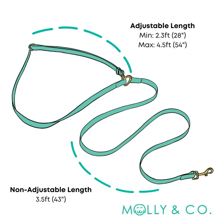 Fetch Master - Handsfree Dog Leash