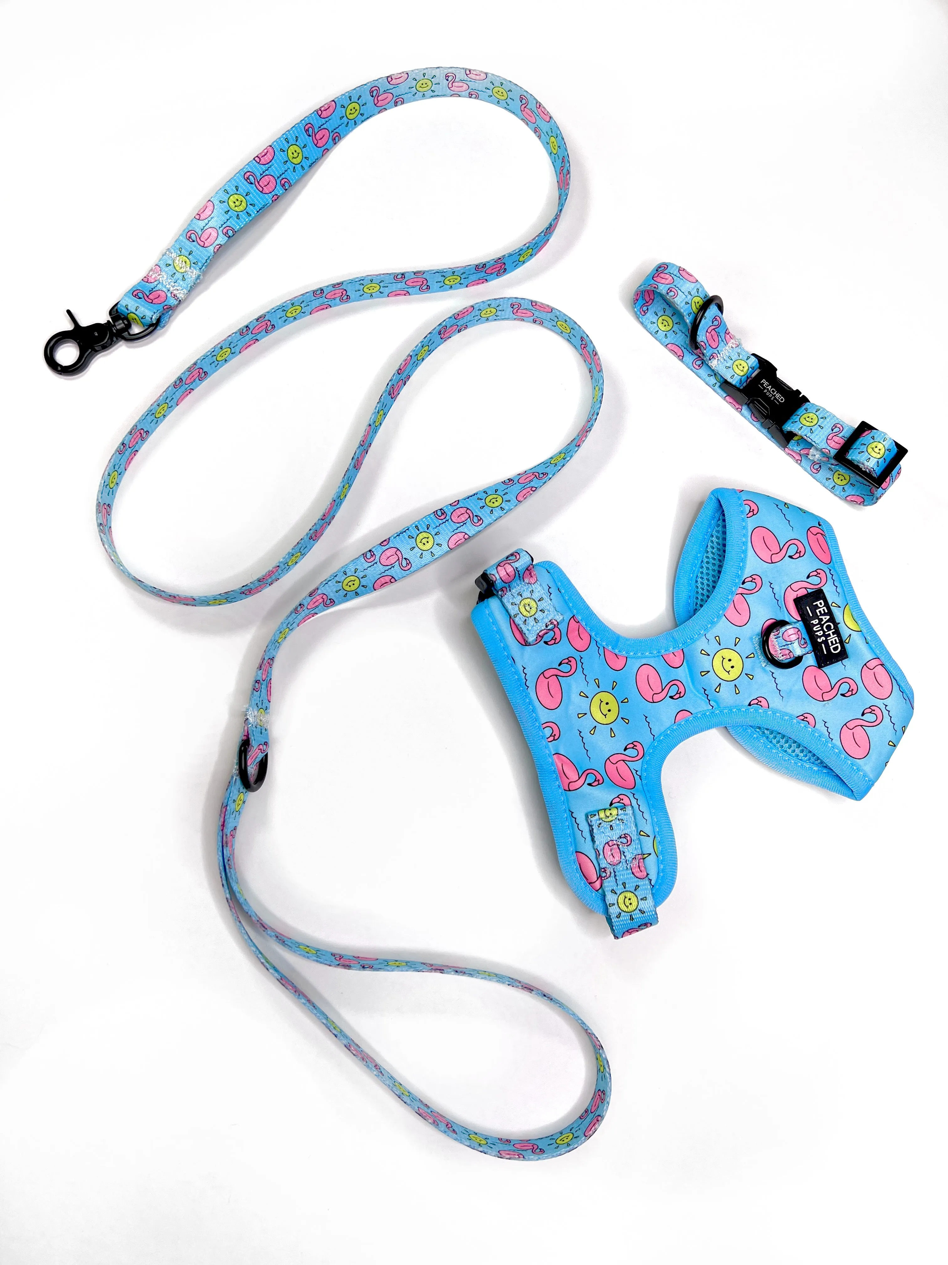 Flocktail Hour Leash