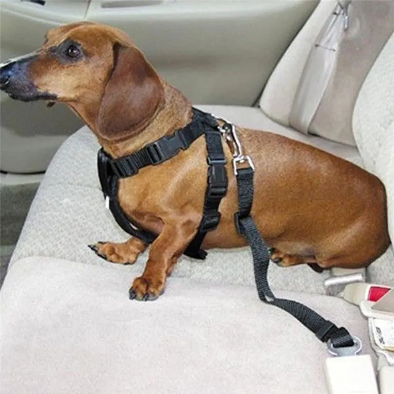 Free Dog Pet Car Safety Seat Belt - Just Pay Shipping