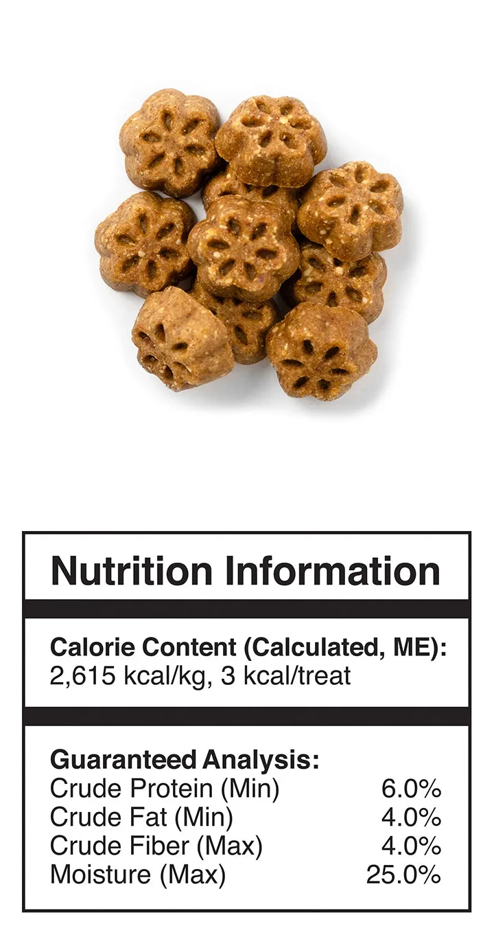 Fruitables Skinny Minis Pumpkin Spice 141g Dog Treats