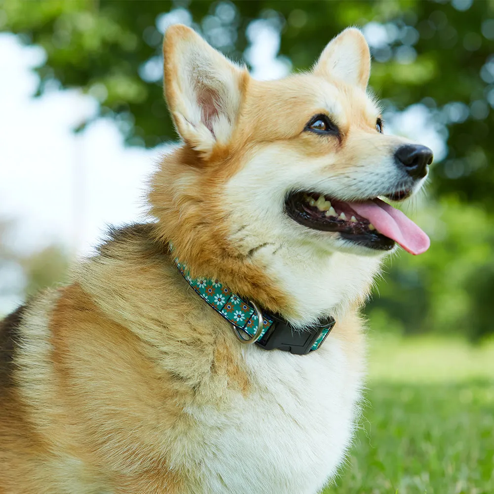 Kalix River - Dog Collar