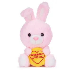 Love Hearts Somebunny Loves You Plush Bunny
