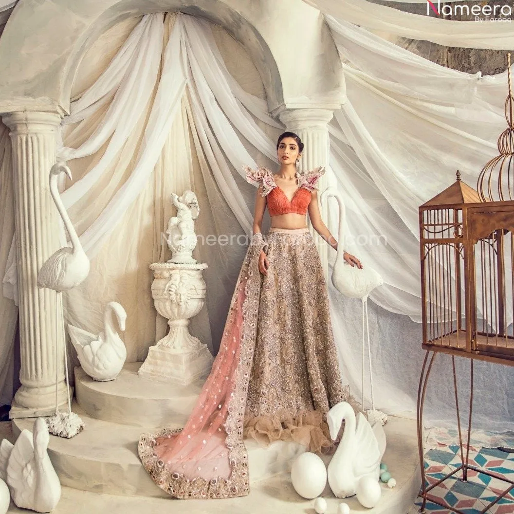 Pakistani Heavily Embellished Choli Lehenga Dress #BN889