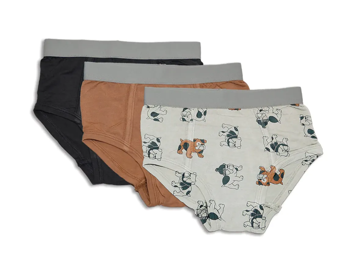 Silkberry Boys 3pack Bamboo Underwear Bulldog Mix