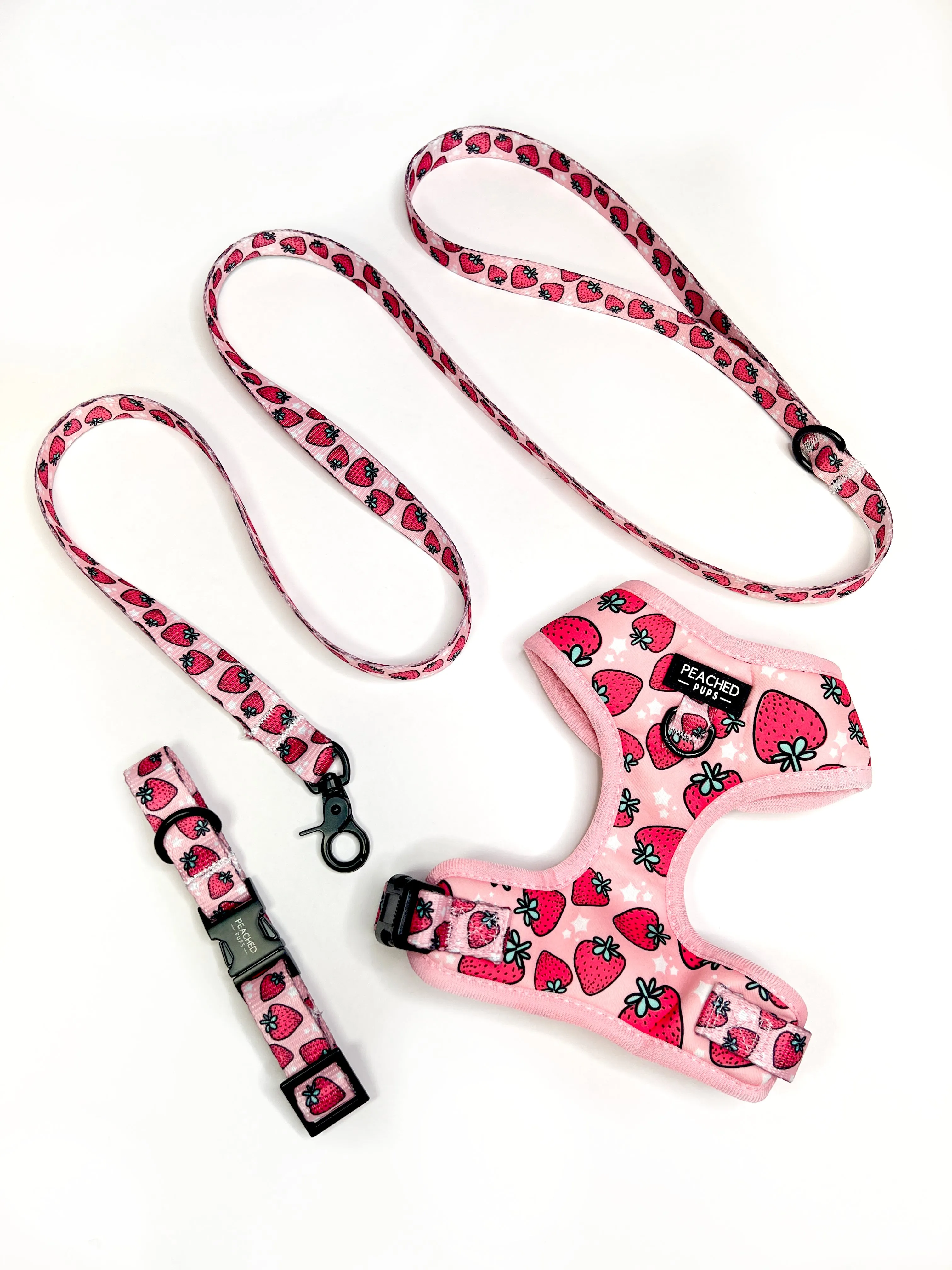 Strawberry Fields Leash