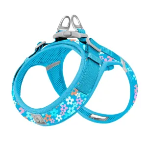 TrueLove Dog Harness TLH30131 - Malibu Blue